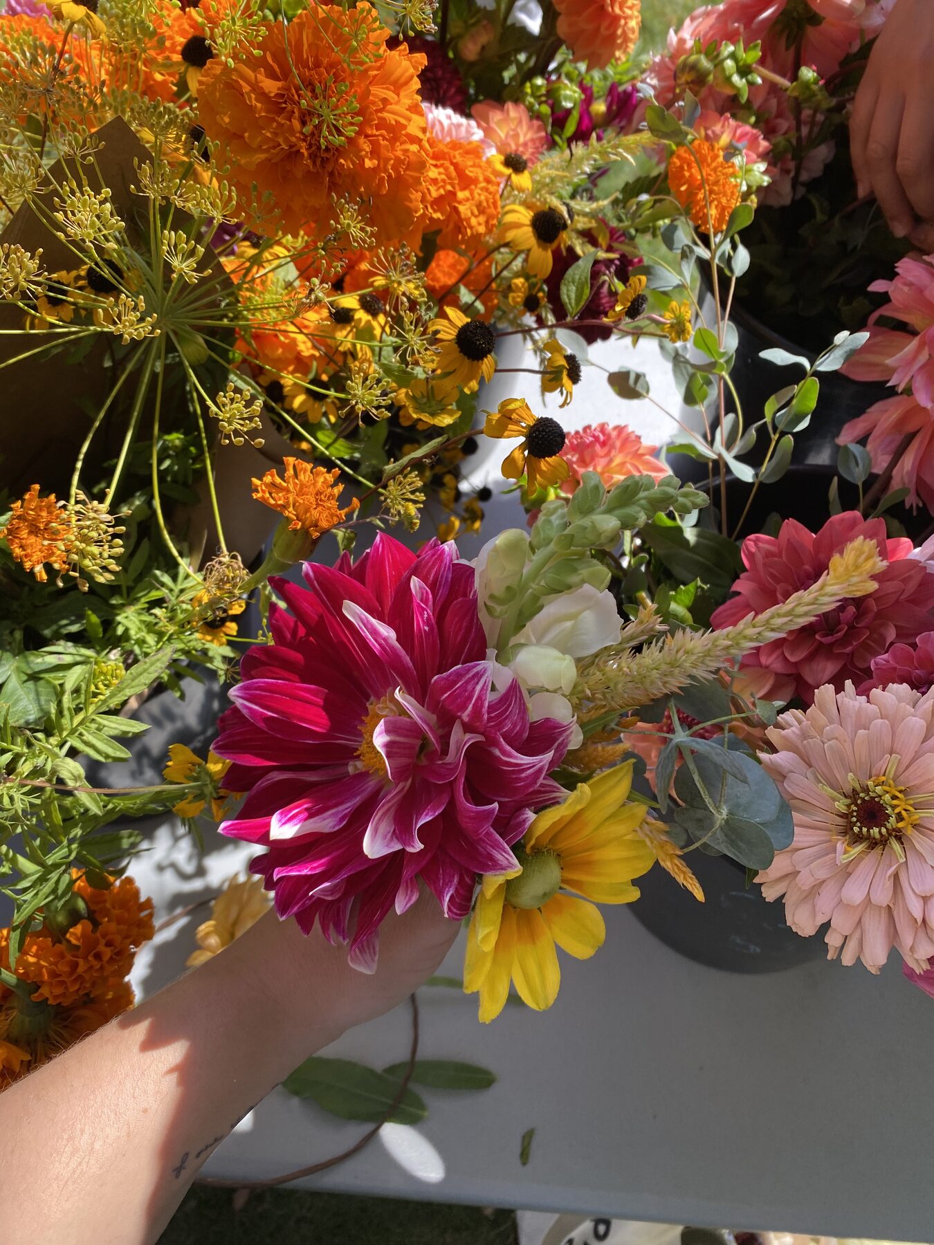 Homegrown seasonal stems